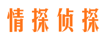 南岔市私人侦探